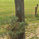 Knabbels En Knutsels Exterior