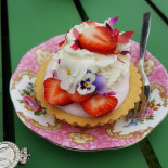 J.j. Janson En J.c. Janson-van Leeuwen Comida