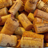 L' Angolo Bredene Dentro