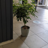 Cafetaria Caglar Extérieur