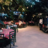 Evergreenz Nourriture