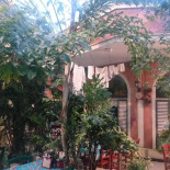 Evergreenz À l'intérieur