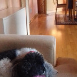 Side À l'intérieur