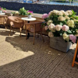 De Hinde À l'intérieur