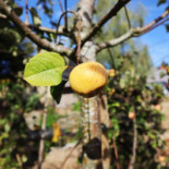 L’air De Rien Nourriture