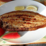 Vice Versa Nourriture