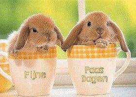 Cafetaria 't Trepke Nourriture