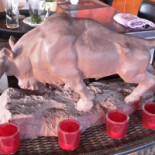 Elbully Tapasbar&grill Dentro