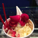 Frozz Oodlz Zoetermeer Nourriture