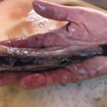 J&r Fish 'n Chips Comida