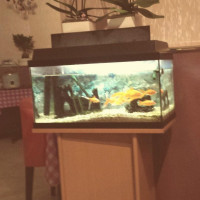 Golden Palace Den Haag Extérieur