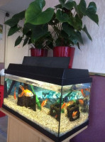 Golden Palace Den Haag Extérieur