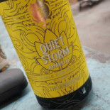 Fietsbrug Hekendorp À l'intérieur