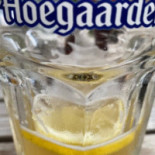 Passantenjachthaven Oudenaarde Carte