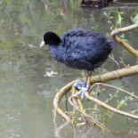 Eetcafe De Overkant Exterior