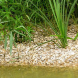 Eetcafe De Overkant Exterior