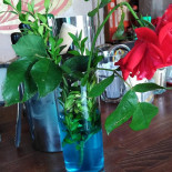 Grill Im Touring Extérieur