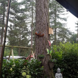 De Achterste Hoef Extérieur