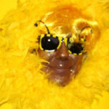 Eetcafe Het Anker Comida