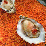 Driezeeg Berlicum Nourriture