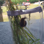 Christoffelhoeve Extérieur