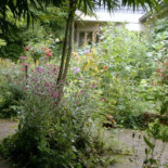 B B Merelhof Extérieur