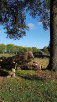 Castle Tongelaar outside