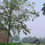 Castle Tongelaar Extérieur