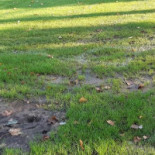 V.v. Bunnik '73 Extérieur