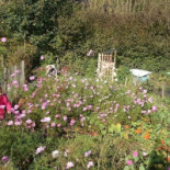 V.v. Bunnik '73 Extérieur