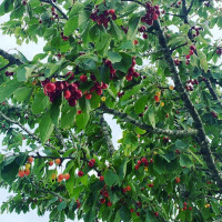 Hof Poppendamme outside