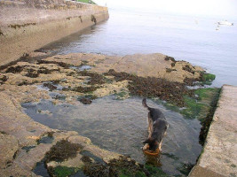 Brixham Lunchroom outside