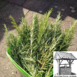 'an D'olde Putte' Goor Extérieur