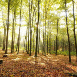 Gasterij 't Wildryck Extérieur