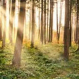 De Loenermark Extérieur