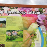 Café De Maert Carta