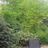 Country Golf Ees Extérieur