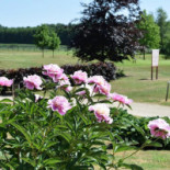 Country Golf Ees Extérieur