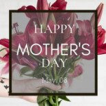 Snackbar De Snackerij Carte