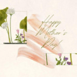 Snackbar De Snackerij Carte