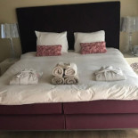 Rosa Arvensis Dentro