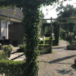 Rosa Arvensis Exterior