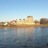 Rosa Arvensis Exterior