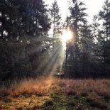 Engelanderhof Exterior