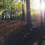 Engelanderhof Exterior