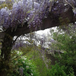 Cafeteria Gendt Exterior