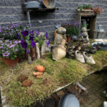 Camping De Berken Extérieur