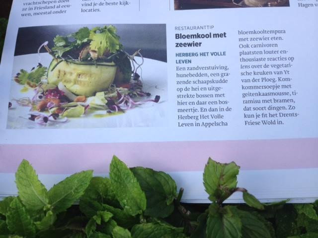 Herberg Het Volle Leven Carte