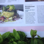 Herberg Het Volle Leven Carte