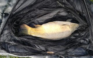 Herberg 't Mun Bv food